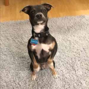 Meet your Posher, Chloe